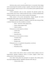 Rizikos valdymas ir draudimas 9 puslapis