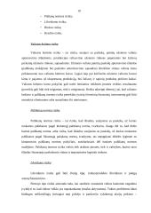 Rizikos valdymas ir draudimas 10 puslapis