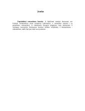 Romantizmas 2 puslapis