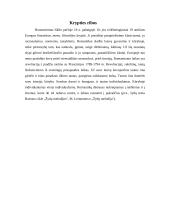 Romantizmas 3 puslapis