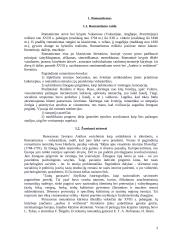 Romantizmas ir Romantizmo bruožai 2 puslapis