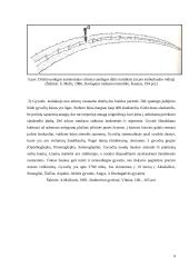 Roplių kūno dangos histologija ir jos dariniai 9 puslapis