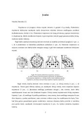 Rotorinis trupintuvas 2 puslapis