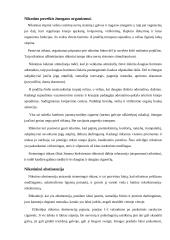 Rūkymas ir jo žala organizmui 2 puslapis