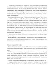 Rūkymas ir jo žala organizmui 7 puslapis