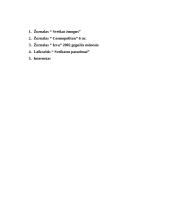 Rūkymas bei jo neigiamas poveikis moksleivio sveikatai 13 puslapis