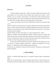 Rūkymas bei jo neigiamas poveikis moksleivio sveikatai 3 puslapis