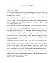 Rūkymas bei jo neigiamas poveikis moksleivio sveikatai 5 puslapis