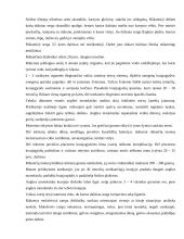 Rūkymas bei jo neigiamas poveikis moksleivio sveikatai 6 puslapis