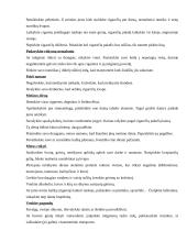 Rūkymas bei jo neigiamas poveikis moksleivio sveikatai 9 puslapis