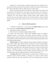 Rūkymo prevencija 8 puslapis