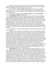 Ruoniai ir jų gyvenimas 2 puslapis