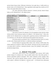 Rusijos finansinė institucija AB "Binbank" 11 puslapis