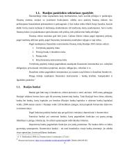 Rusijos finansinė institucija AB "Binbank" 4 puslapis