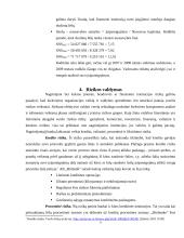 Rusijos finansinė institucija AB "Binbank" 9 puslapis