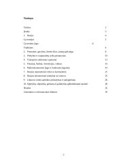 Rusijos tarptautiniai santykiai su Lietuva 2 puslapis