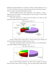 Rusijos tarptautiniai santykiai su Lietuva 11 puslapis