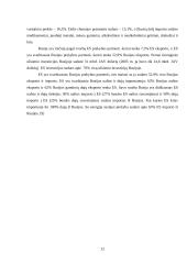 Rusijos tarptautiniai santykiai su Lietuva 12 puslapis