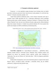Rusijos tarptautiniai santykiai su Lietuva 13 puslapis