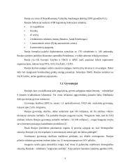 Rusijos tarptautiniai santykiai su Lietuva 5 puslapis