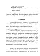 Sandėliavimas logistikos sistemoje 7 puslapis