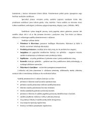 Sandėliavimas logistikos sistemoje 9 puslapis