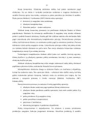 Sandėliavimo logistika 13 puslapis