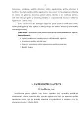 Sandėliavimo logistika 3 puslapis