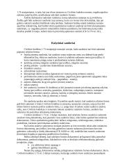 Sandorio samprata. Sandorių rūšys 6 puslapis