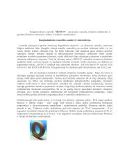 Santechnikos darbai 4 puslapis