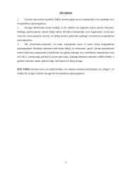 Santykinių finansinių koeficientų analizė 2006-20007 metais: AB "Dvarčionių keramika" 12 puslapis
