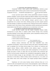 Santykinių finansinių koeficientų analizė 2006-20007 metais: AB "Dvarčionių keramika" 5 puslapis