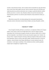 Santuoka šiuolaikinėje visuomenėje 13 puslapis