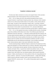 Santuoka šiuolaikinėje visuomenėje 4 puslapis