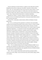 Santuoka šiuolaikinėje visuomenėje 5 puslapis