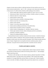 Santuoka šiuolaikinėje visuomenėje 7 puslapis