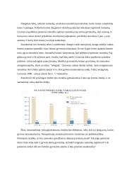 Santuoka šiuolaikinėje visuomenėje 9 puslapis