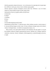 Sapnai ir ženklai, jų valdymas, svarba reikšmė žmogaus gyvenime 5 puslapis