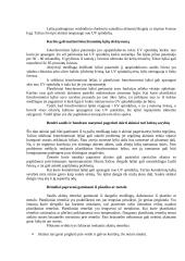 Saulės akiniai 5 puslapis