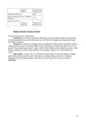 Saulės sistema. Referatas 11 puslapis