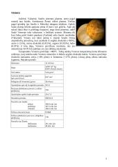 Saulės sistema. Referatas 4 puslapis