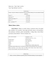 Savaitgalio kelionių į didžiuosius Europos miestus analizė: "Aviaturas ir partneriai" 11 puslapis