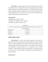 Savaitgalio kelionių į didžiuosius Europos miestus analizė: "Aviaturas ir partneriai" 10 puslapis