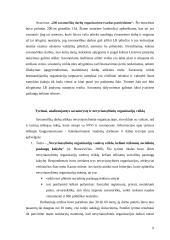 Savanorystė 4 puslapis