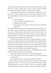 Savanorystė 8 puslapis