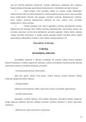 Savivaldų funkcijos 12 puslapis