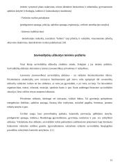 Savivaldų funkcijos 13 puslapis