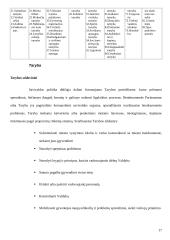 Savivaldų funkcijos 17 puslapis