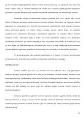 Savivaldų funkcijos 20 puslapis