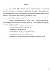 Savivaldų funkcijos 3 puslapis